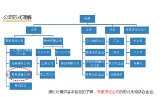 虚拟股权设计方案[虚拟股权设计方案怎么写]